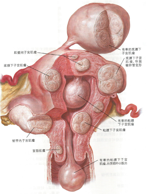 第744页